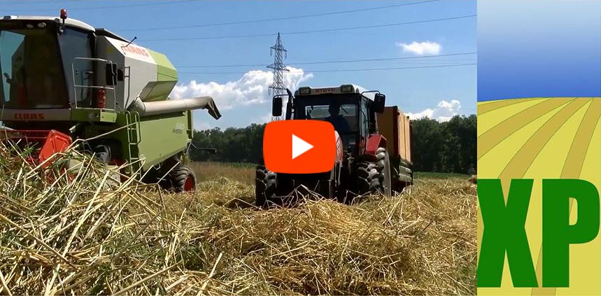 input planner for crop expert